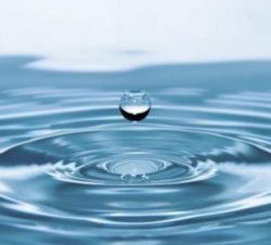 Water Testing